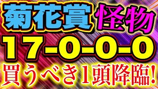 【 菊花賞 2024 】 怪物！（17000）最後の三冠はダノンじゃないこの馬で決まり！ [upl. by Albion]