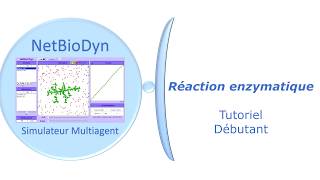 NetBioDyn Enzymes [upl. by Walls]