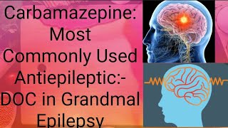 Carbamazepine Pharmacology Anticonvulsant Mechanism of action Uses and ADR CNS pharmacology [upl. by Kopans142]