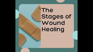 Mastering the Stages of Wound Healing in Just 3 Minutes  Quick Guide [upl. by Menken451]