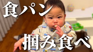 初めて食パン1枚をペロリと完食した生後9ヵ月赤ちゃん【離乳食】A baby who eats a piece of bread [upl. by Boeke930]