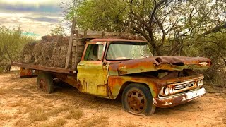 ‘61 Chevy ranch truck ABANDONED 38 years ago hauling hay Will it run [upl. by Ailekahs]