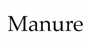 How to Pronounce Manure [upl. by Scheider]