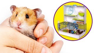 Muita diversão para os seus bichinhos construindo uma casinha de Hamsters [upl. by Adnovay]