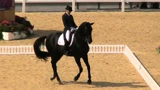 MOV009MOD Dorothee Schneider London Olympics 2012 Dressage Freestyle [upl. by Jonette]