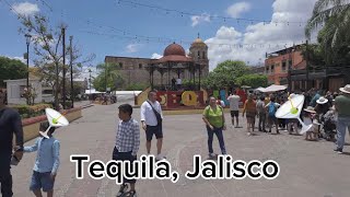 Tequila Pueblo Mágico en Jalisco [upl. by Gershom]