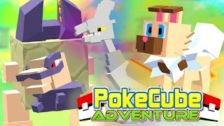 PokeCube Adventure  ROCKRUFF amp ALOLAN GOLEM Minecraft Pokemon Mod 5 [upl. by Nicodemus488]