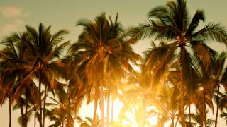 Baz Luhrmann  Wear Sunscreen Mau Kilaueas Tropical Remix [upl. by Hamehseer185]