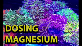 Dosing Magnesium In A Reef Tank [upl. by Ahsimat]