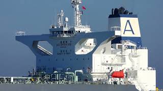 SHIPSPOTTING 2024  Arrival and Departure Compilation Rotterdam [upl. by Rowney]