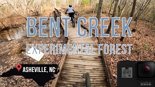 BENT CREEK EXPERIMENTAL FOREST  Asheville NC [upl. by Llehsem576]