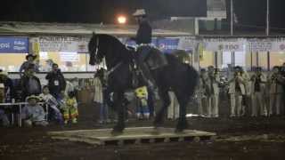 Feria del Caballo Texcoco [upl. by Gnilhsa]