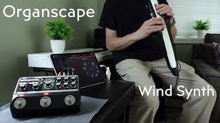 Organscape  Boss RE202 Space Echo Looping With Roland Aerophone AE20 [upl. by Liban]