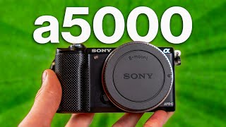 This Tiny 200 Camera Rocks  Sony a5000 Review [upl. by Nahgeam]