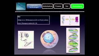 Basiskurs BiochemieChemie Nukleinsäuren Teil 1010 [upl. by Christmas]