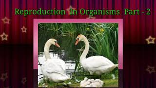 VHSE CLASS XII  BIOLOGY BOTANY REPRODUCTION IN ORGANISMS PART2 [upl. by Philly]