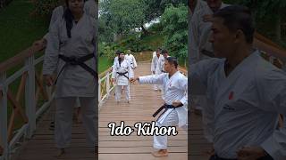 Ido Kihon  Karate Do Spirit Tour [upl. by Ynomrah866]