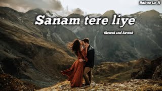 Sanam tere liye lofi  santali slowed and reverb songs  santhbeatz [upl. by Anih287]