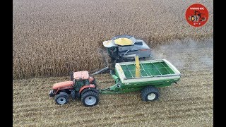 Washington Courthouse Ohio Corn Harvest  October 2018 [upl. by Kenna]