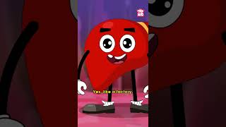 What Does The Liver Do  World Hepatitis day shorts worldhepatitisday liver drbinocsshow [upl. by Repinuj]