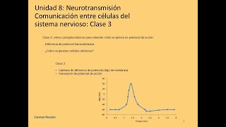 Unidad 8 2024 Neurotransmisión clase 3 [upl. by Alroy]