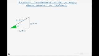 Razonestrigonometricasanguloagudoavi [upl. by Alberta]