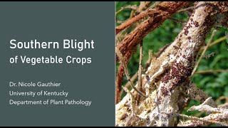 Southern Blight of Vegetable Crops [upl. by Telrats]