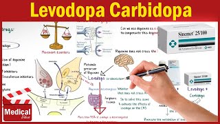 Pharmacology CNS 3 Parkinsons Disease Treatment Part 1 Levodopa Carbidopa and Benserazide [upl. by Nolra]