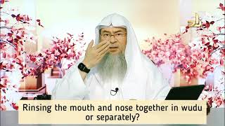 Rinsing the mouth and nose together in wudu or separately  Assim al hakeem [upl. by Notneb634]