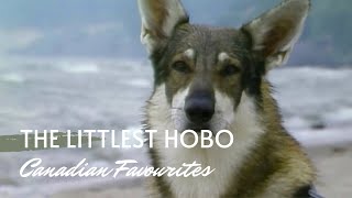 The Littlest Hobo 1979  1985 Introoutro [upl. by Lizned145]