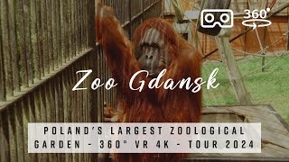 Zoo Gdańsk 🇵🇱 Poland  Explore Polands Largest Zoo  360° VR 4K Walking Tour [upl. by Leahey859]