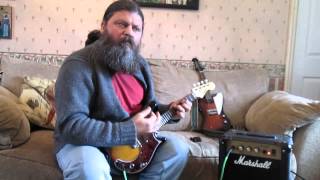 Review of two electric mandolins  Fender mandocaster amp Mandobird [upl. by Binette238]