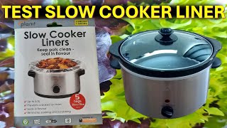 SLOW COOKER LINER 163 GEORGE SLOW COOKER [upl. by Killigrew]