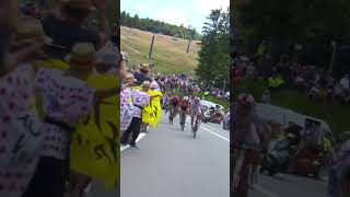 The moment Ciccone secured the Polka Dot Jersey 😍 Tourdefrance tdf2023 shorts [upl. by Penn]