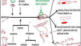 18 fibrinolytic System 10 1 [upl. by Rudd]