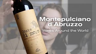 Lets Try Montepulcian dAbruzzo Wines Around the World [upl. by Salsbury]