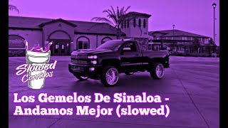 Los Gemelos De Sinaloa  Andamos Mejor slowed rebajada [upl. by Hillari412]