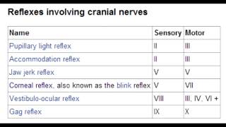 Cranial Nerve Reflexes  Corneal Lacrimation Jaw Jerk Pupillary amp Gag [upl. by Dloreg]