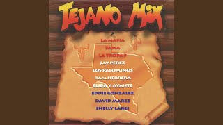 Tejano Megamix Long Version [upl. by Mascia]