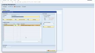 install language package in SAP [upl. by Nylirek630]
