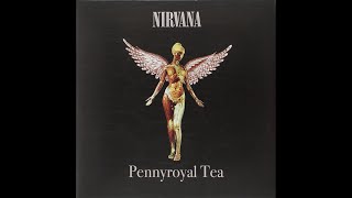 Nirvana Pennyroyal Tea guitar backing track with Vocals [upl. by Siravaj485]