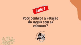 Você conhece a relação do saguis com as zoonoses  parte 2 [upl. by Ittam]