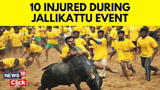 Madurai Jallikattu 2024  Jallikattu Bull Taming Madurai 10 Injured In Palamedu Event  N18V [upl. by Laddy]