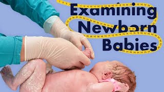 Neonatal examination short case [upl. by Las695]