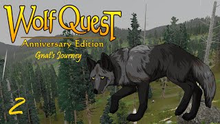 Gnat Makes Her Mark  WolfQuest Ultra Ironwolf Gnats Journey 2 [upl. by Hanikehs]