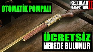 EN İYİ POMPALI TÜFEK LOKASYONU  Red Dead Redemption 2 Türkçe [upl. by Sadonia]