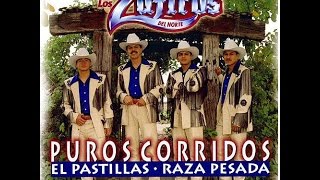 Los Quinis  Los Zafiros Del NortePuros Corridos [upl. by Sorgalim827]