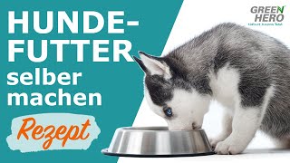 Hundefutter mit Hackfleisch selber machen  Rezept [upl. by Niuqauj490]