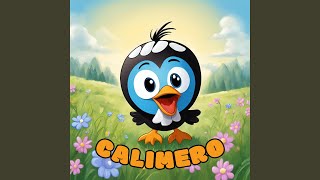 Calimero [upl. by Carley]