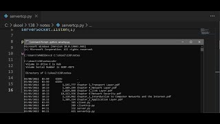 Socket Programming with SERVER amp CLIENT UDP amp TCP  Computer Networking Fundamentals [upl. by Bary]